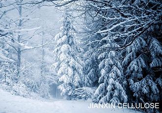 Heavy Snow Today Heavy Snow Today